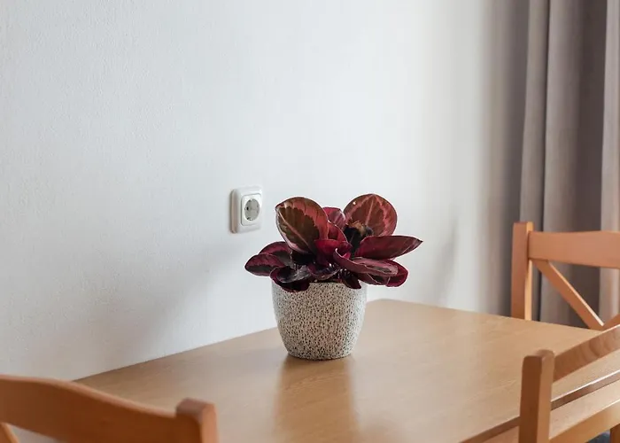 Apartamento Grabmayrhof Kremsmünster